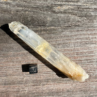 Golden Healer Blue Smoke Lemurian Quartz - 13