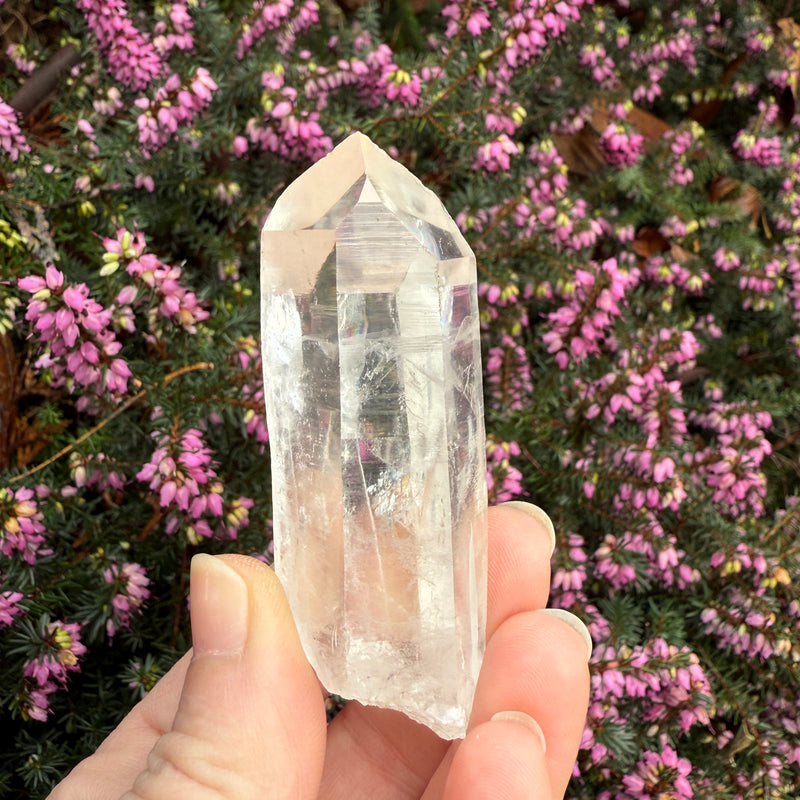 Lemurian Dow Trans-channeling Quartz Crystal