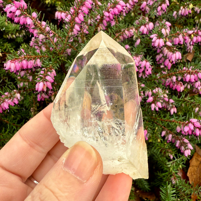 Lemurian Dow Trans-channeling Quartz Crystal