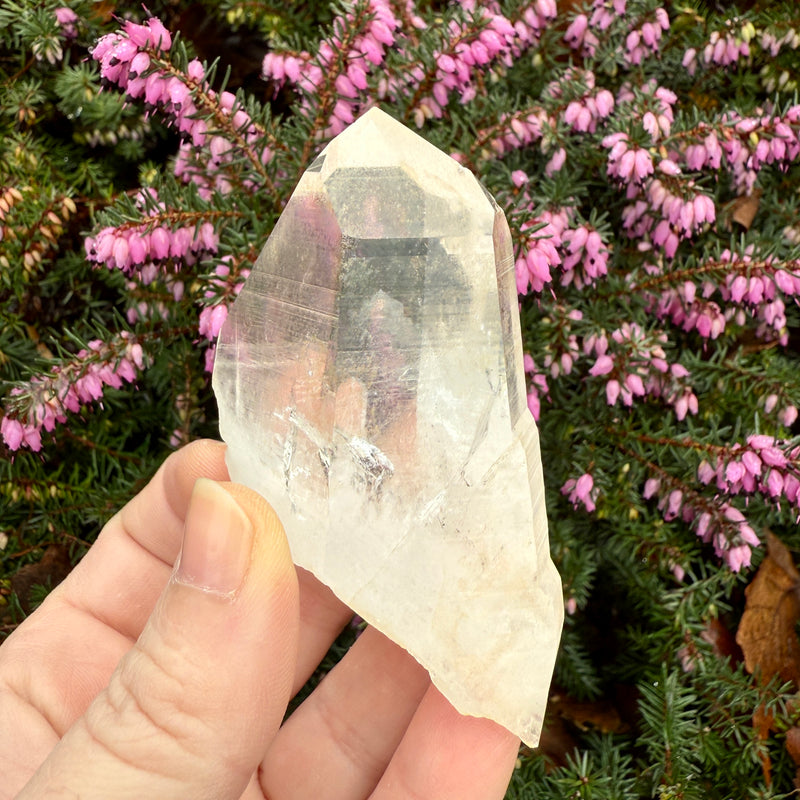 Lemurian Dow Trans-channeling Quartz Crystal