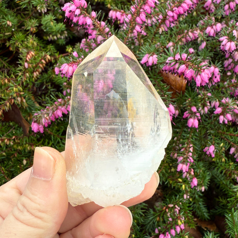 Lemurian Dow Trans-channeling Quartz Crystal