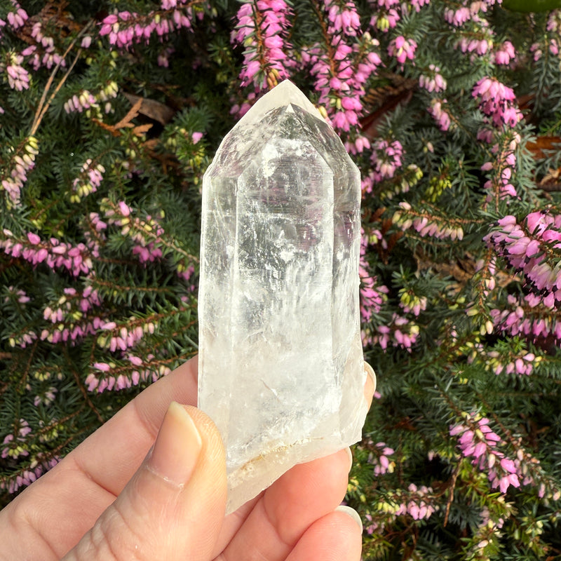 Lemurian Quartz Crystal