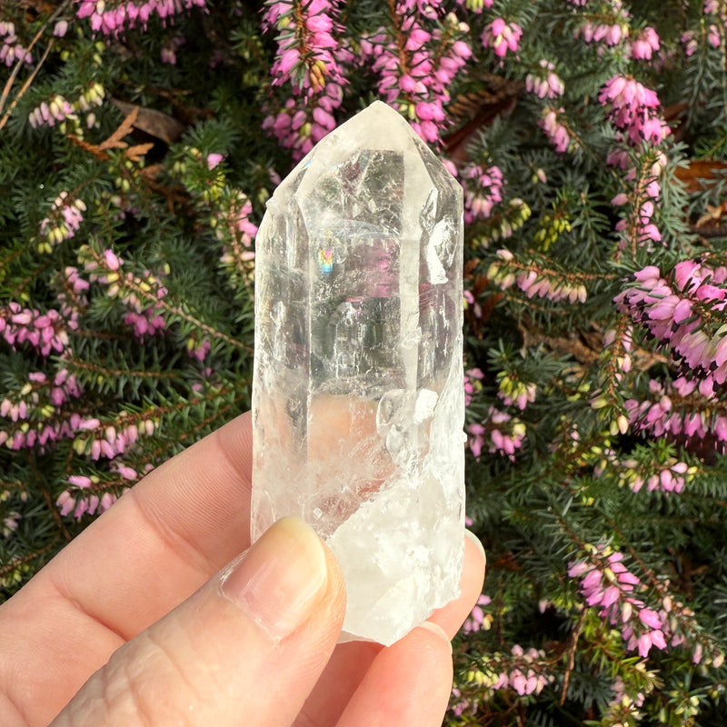 Lemurian Quartz Crystal