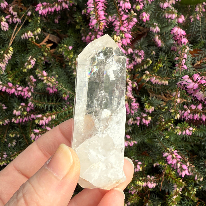 Lemurian Quartz Crystal