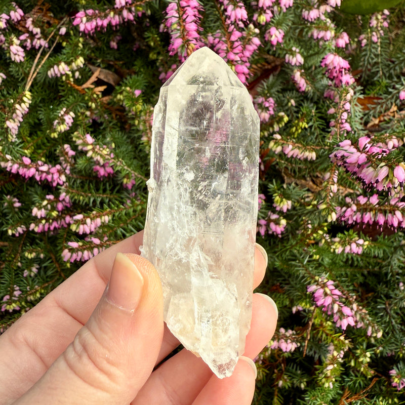 Lemurian Quartz Crystal