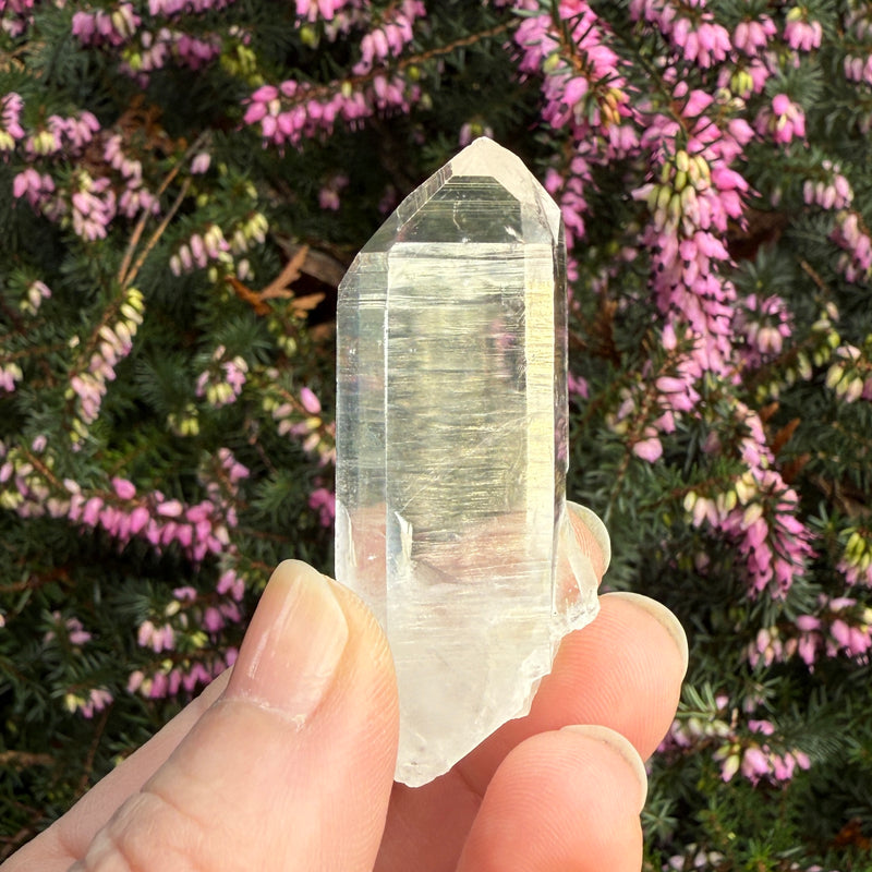 Lemurian Quartz Crystal