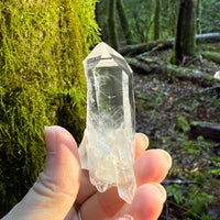 Lemurian Quartz Crystal