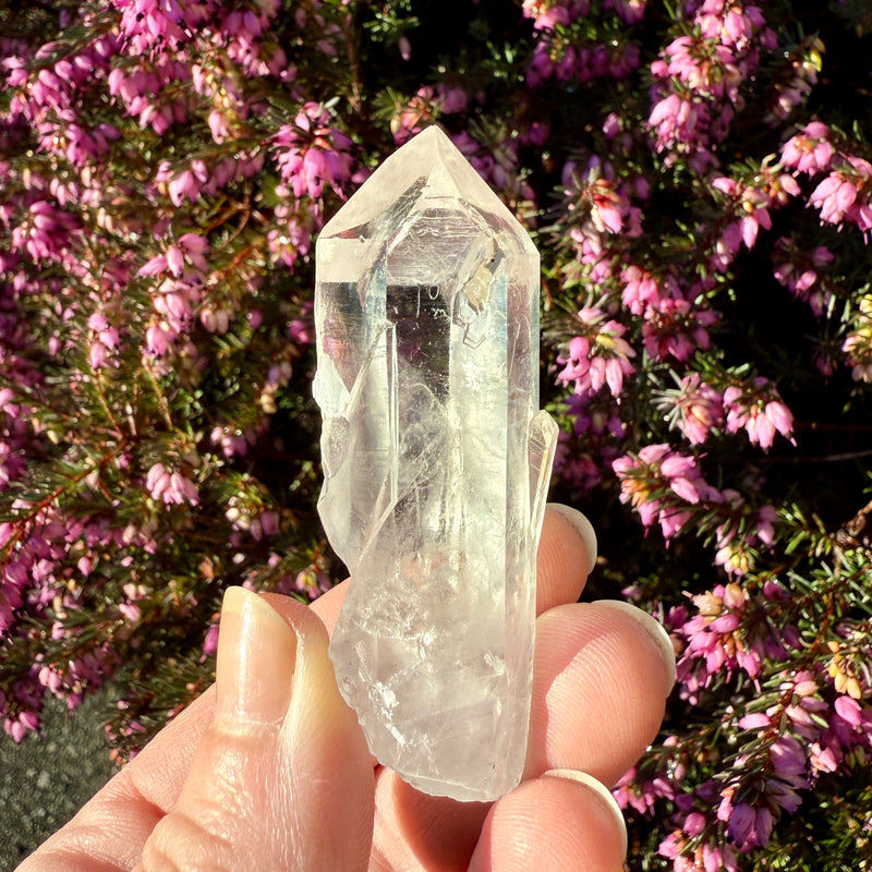 Lemurian Quartz Crystal