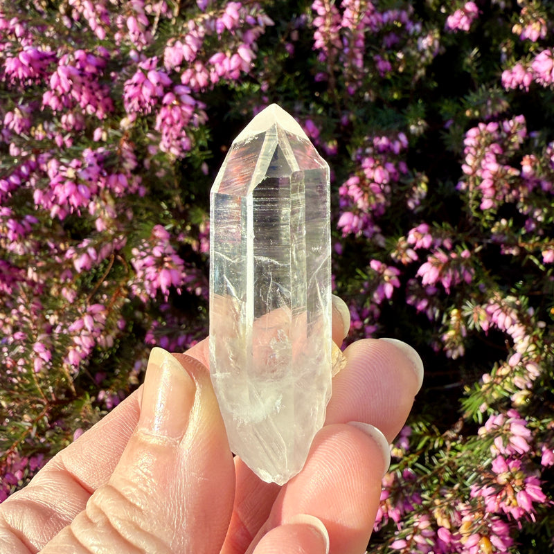 Lemurian Quartz Crystal