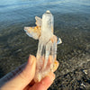 Lemurian Quartz Crystal