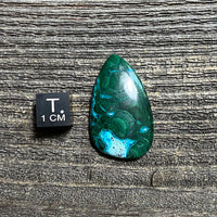 Malachite and Chrysocolla Cabochon - 9