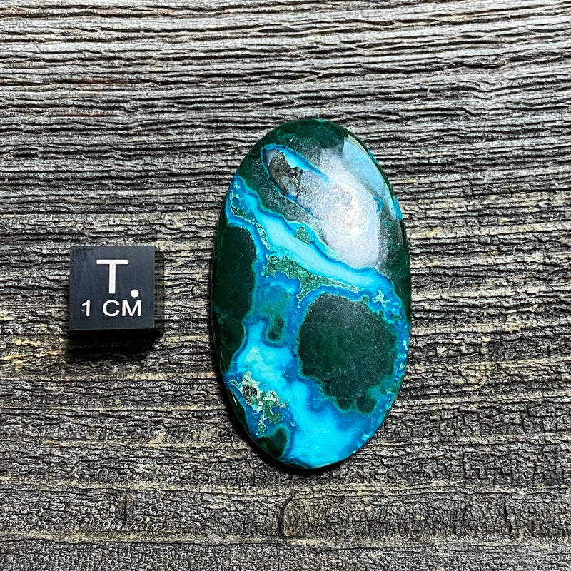 Malachite and Chrysocolla Cabochon - 25