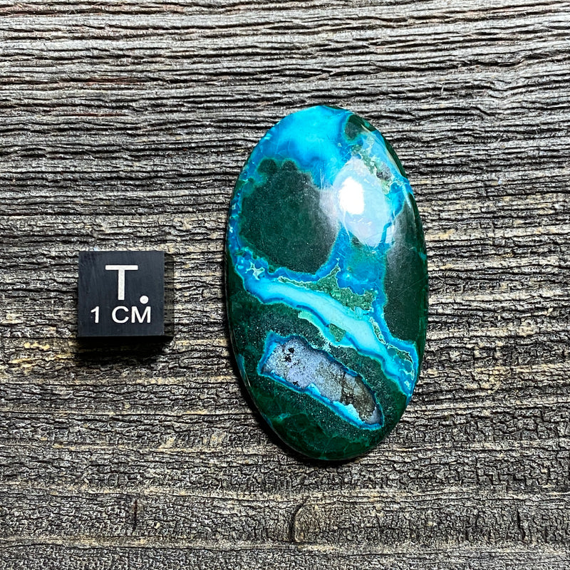 Malachite and Chrysocolla Cabochon - 25