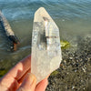 Lemurian Quartz Crystal