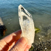 Lemurian Quartz Crystal