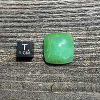 Chrysoprase Cabochon - 13