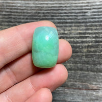 Chrysoprase Cabochon - 14