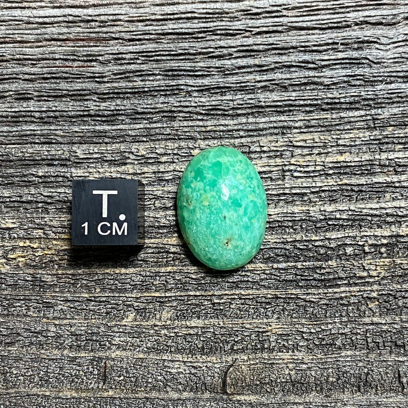 Chrysoprase Cabochon - 24