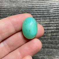 Chrysoprase Cabochon - 28