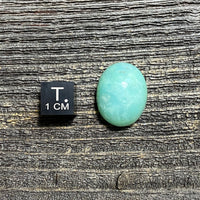 Chrysoprase Cabochon - 29