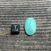 Chrysoprase Cabochon - 34