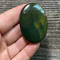 Bloodstone Cabochon - 20