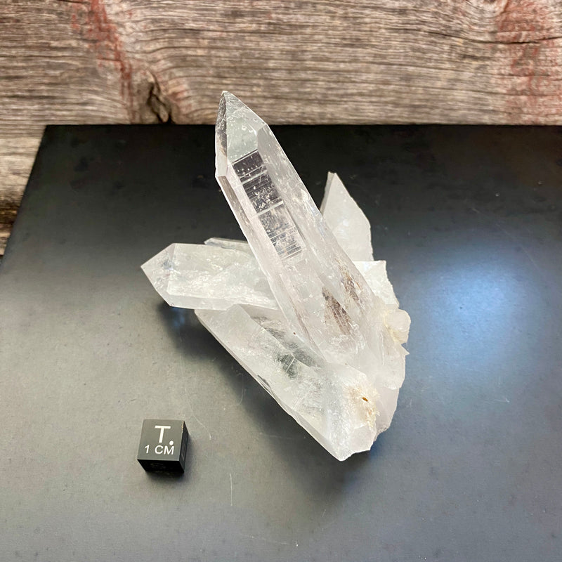 Lemurian Quartz Crystal Cluster