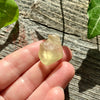 Libyan Gold Tektite - 6