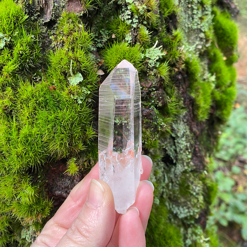 Lemurian Quartz Crystal