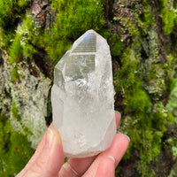 Lemurian Quartz Crystal