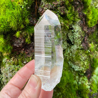 Lemurian Dow Trans-channeling Quartz Crystal