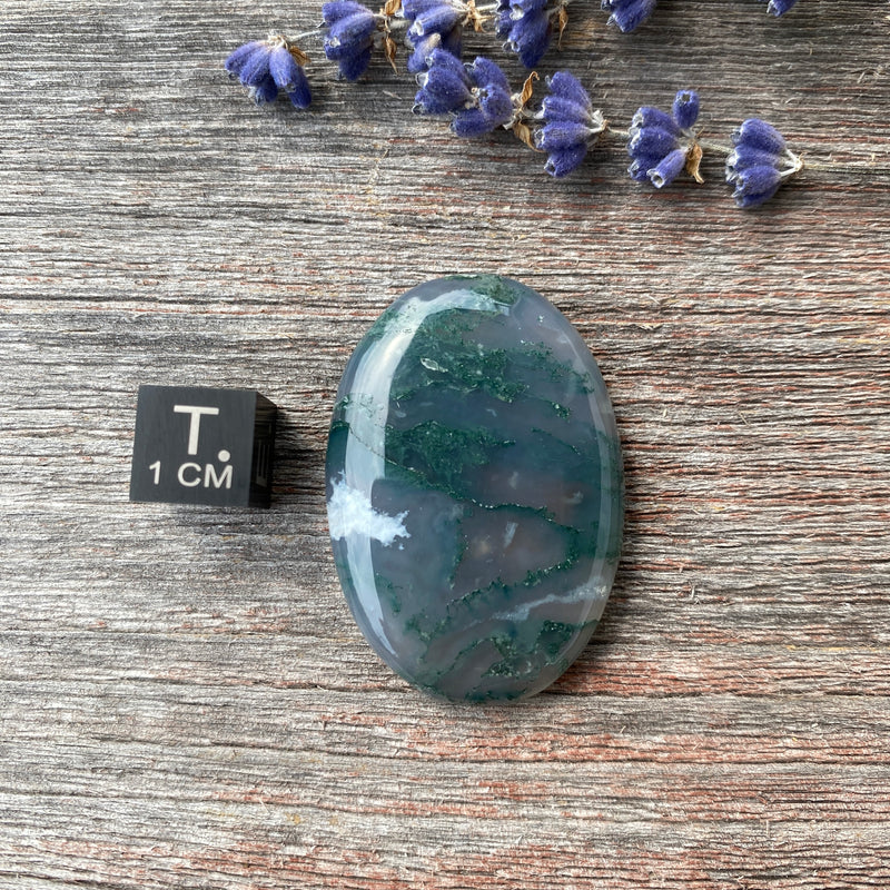 Moss Agate Cabochon - 16