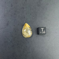 Rutilated Quartz Cabochon - 43